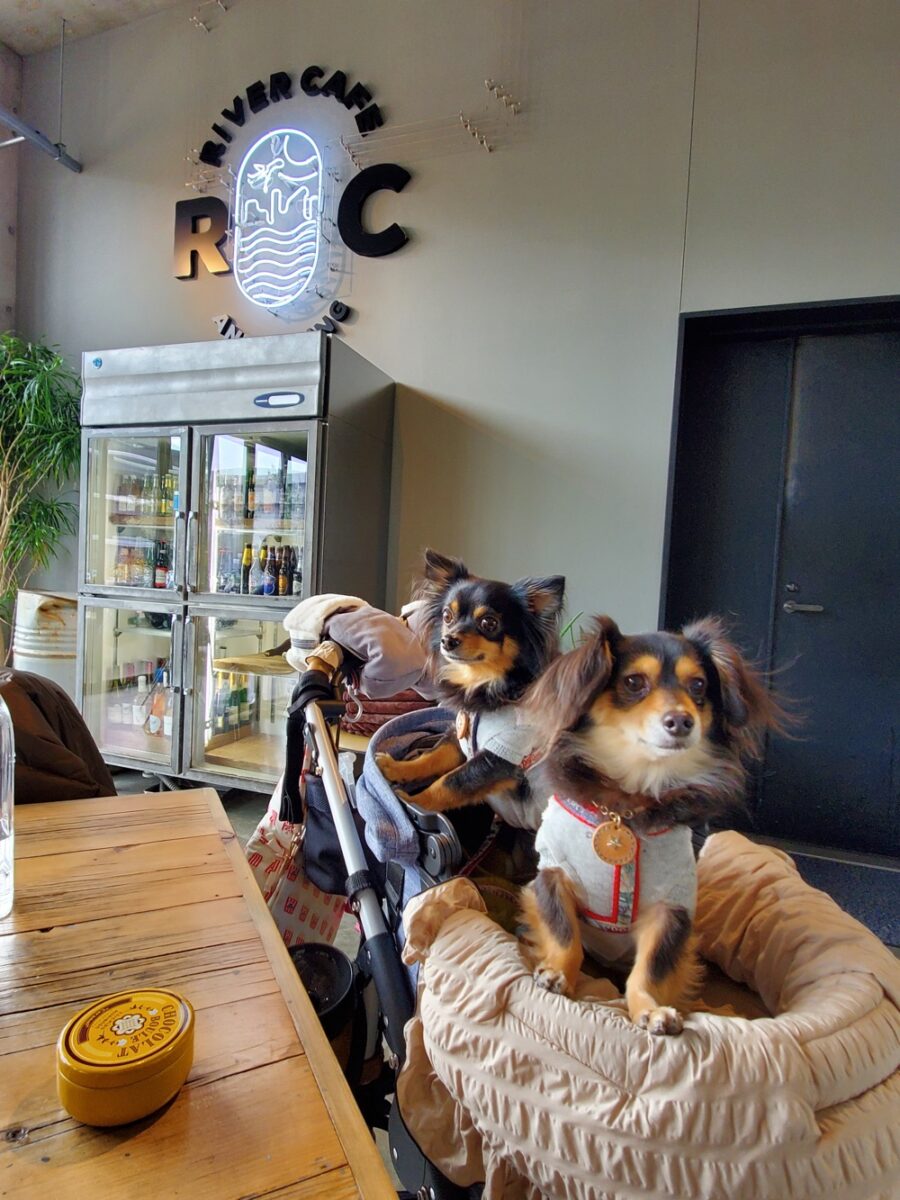 神奈川・川崎市】「Trex Kawasaki River Cafe」 – おでかけわんこ部