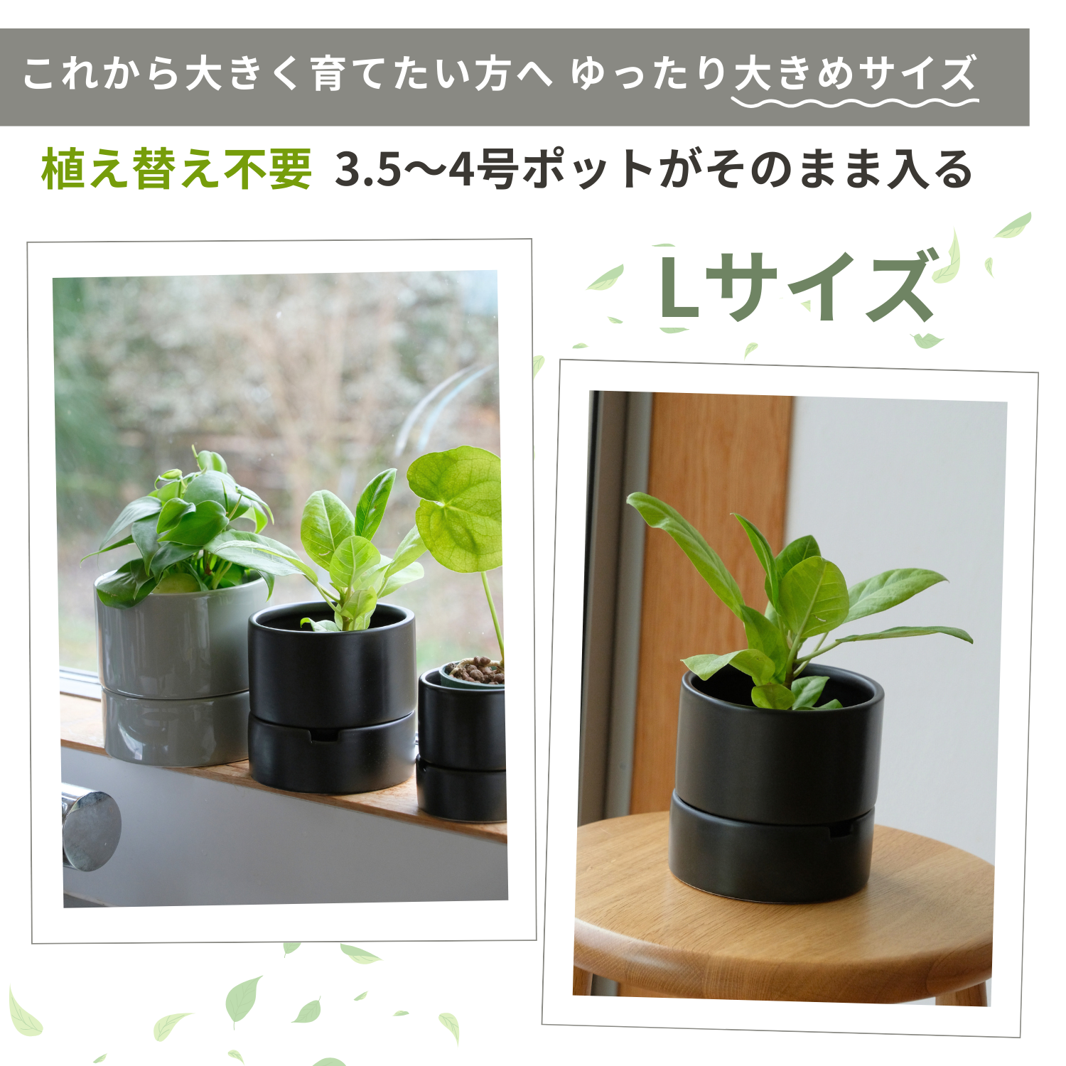 食虫植物・ハイドロカルチャーにぴったり｜陶器 植木鉢｜4号｜すーさん