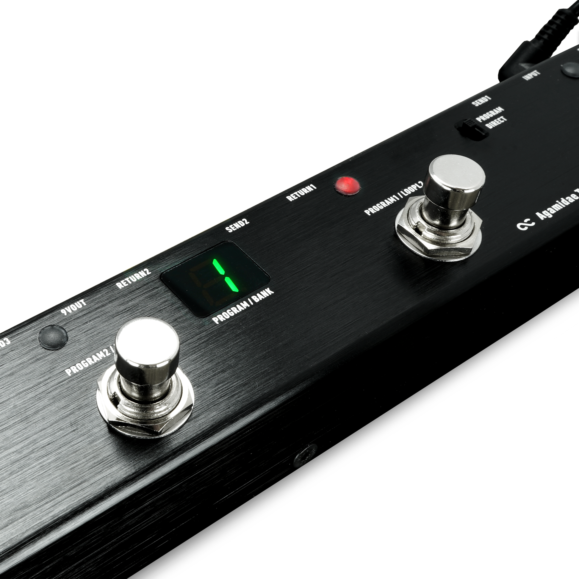 Agamidae Tail Loop (OC-6V) – One Control USA