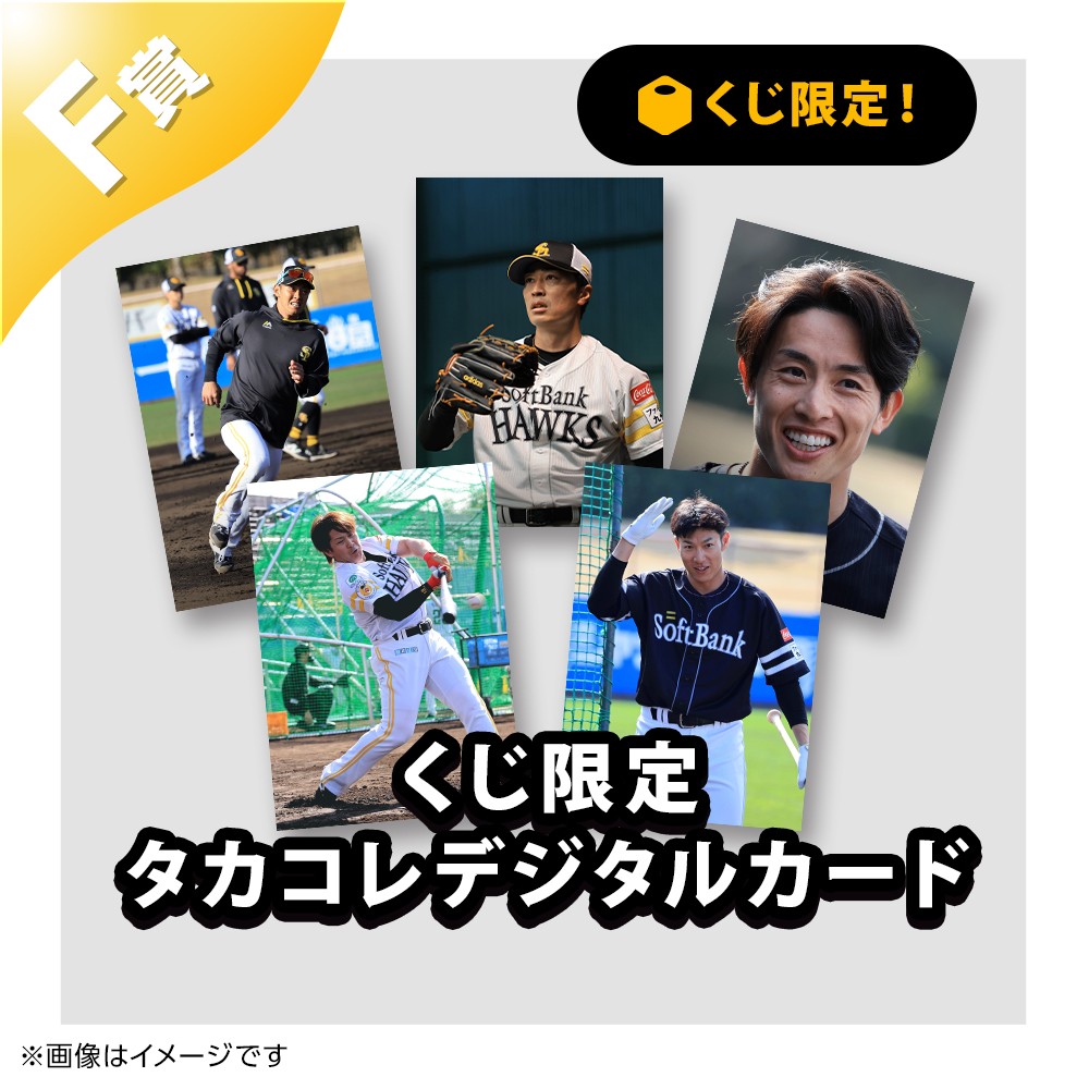 くじプラ | タカコレくじ 2023 vol.3