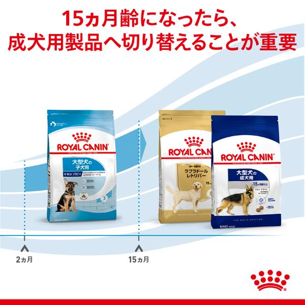 ロイヤルカナン サイズ ヘルス ニュートリション マキシ パピー 15kg