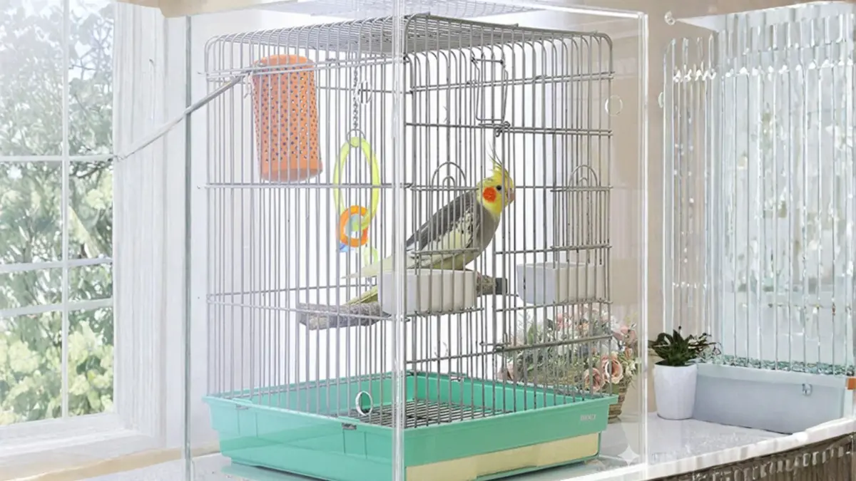 インコ用ケージカバー完全ガイド【おすすめ3選】セキセイ・オカメ対応