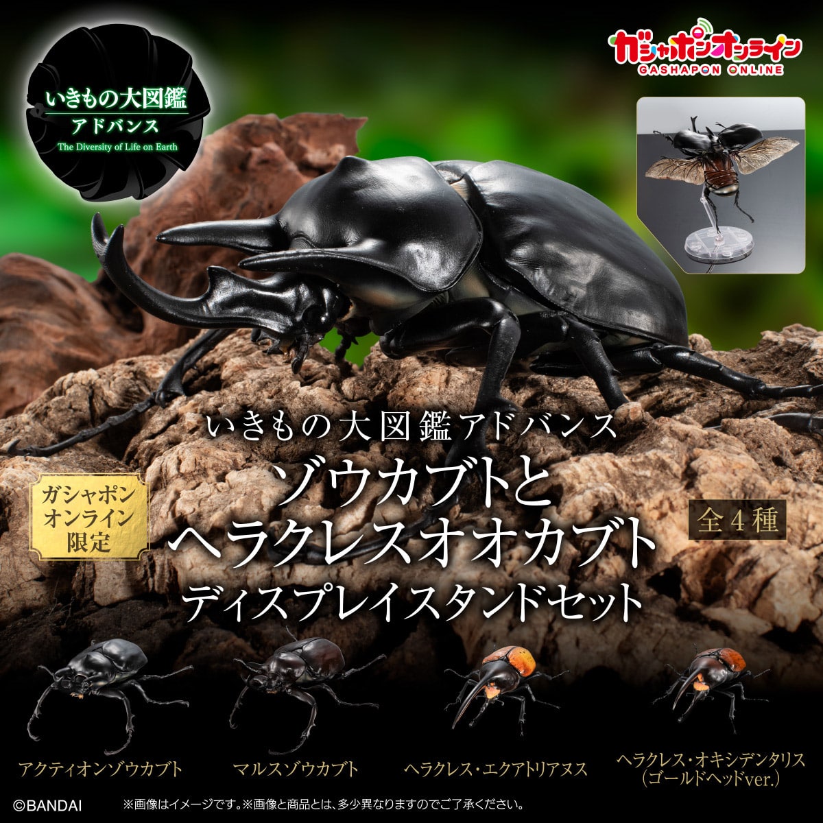 いきもの大図鑑アドバンス ゾウカブトとヘラクレスオオカブト