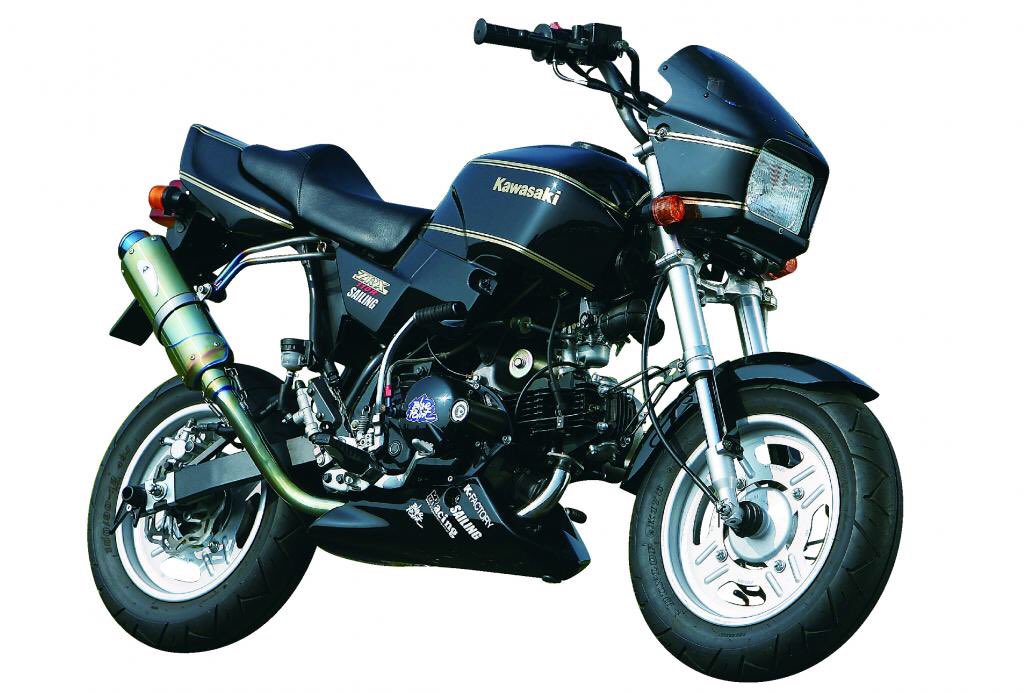カワサキ KSR110を、「ブルーポイント」がZRX風にカスタマイズ⁉️ MS