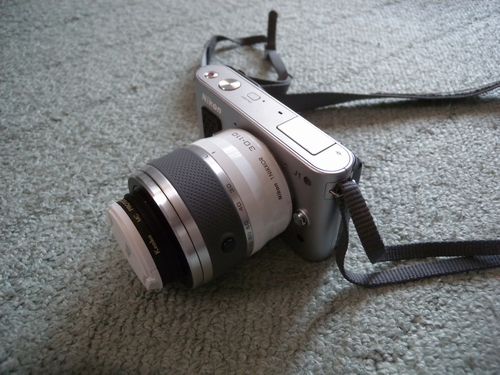 Nikon 1 Nikkor VR 30-110mm f/3.8-5.6レンズレビュー（作例あり