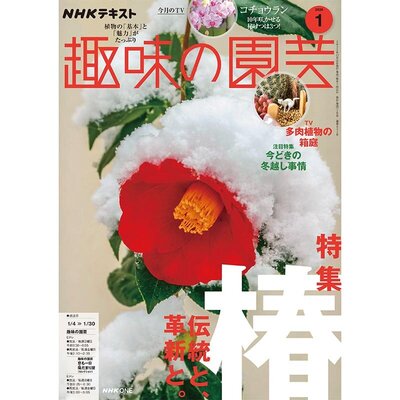 engeicover_202601_800-thumb-