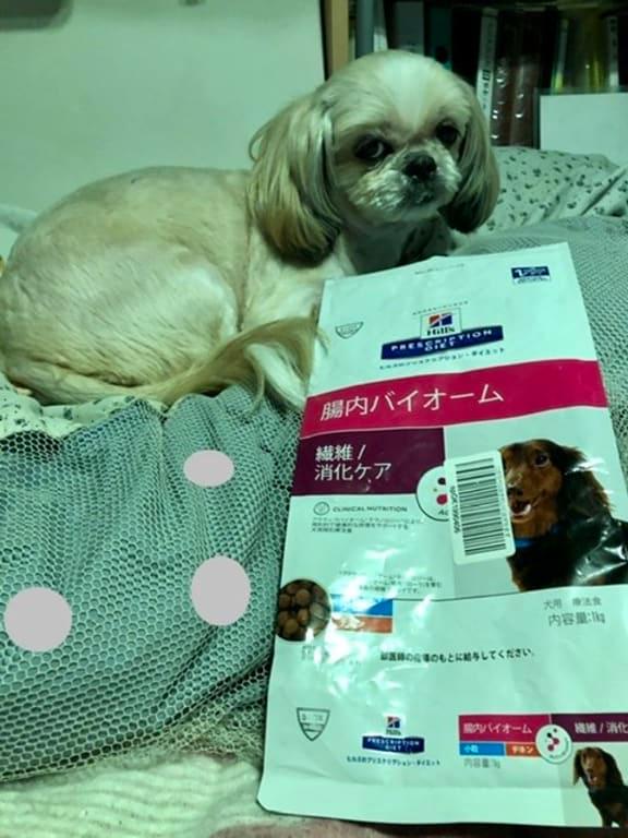 犬用〉腸内バイオーム 小粒 ドライ | ヒルズ プリスクリプション
