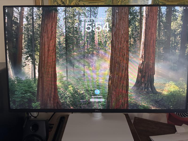 Dell S2425HS 23.8