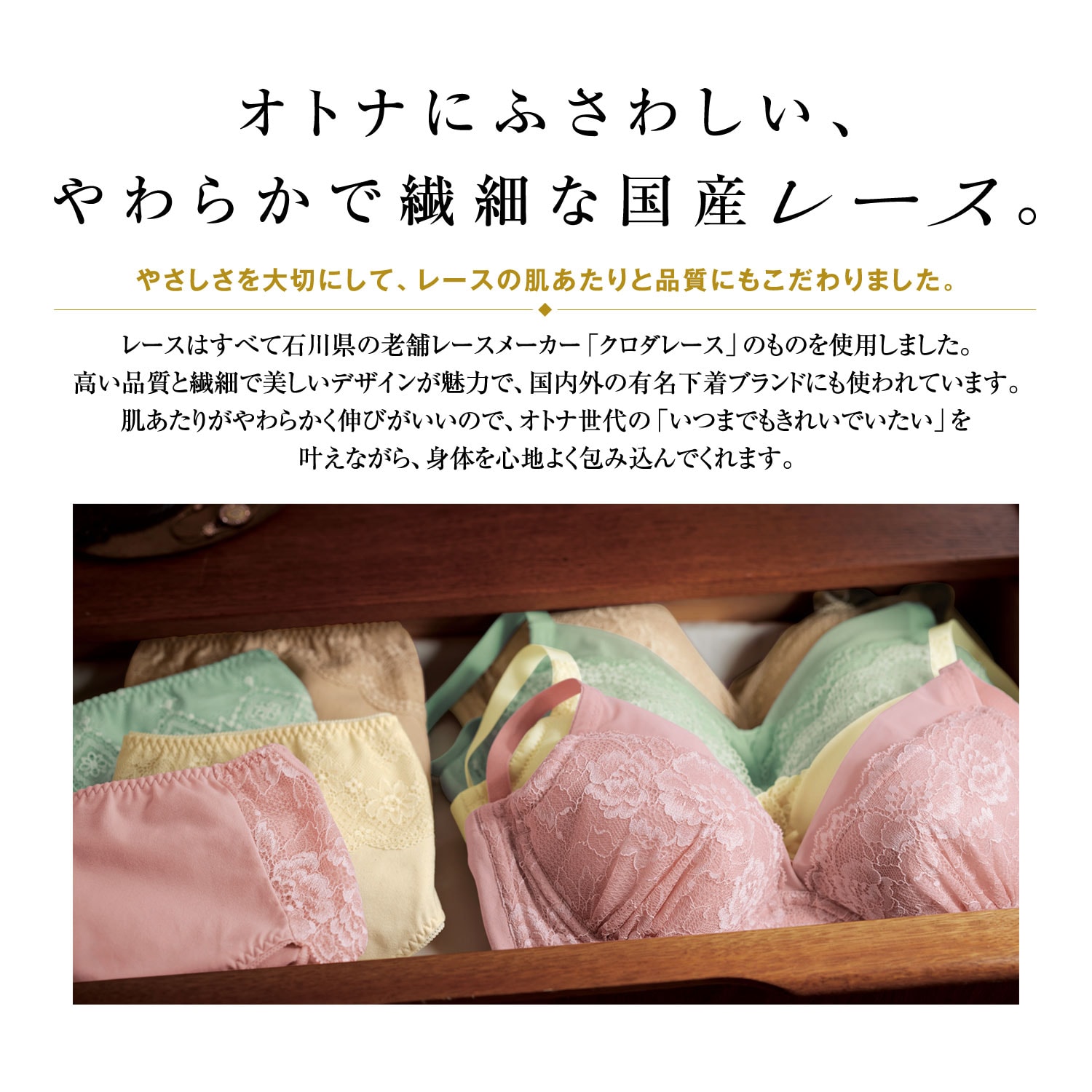 定期お届け】[C80／L] ラクな着け心地で美シルエット ホールドミー