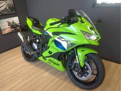 Ninja ZX－4RR(カワサキ) グリーン系・緑色のバイク一覧