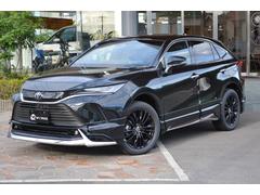 トヨタ ハリアー エアロパーツ装備の中古車一覧｜中古車検索 - 価格.com
