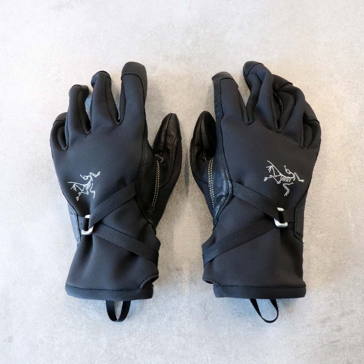 POST JUNK / '19 ARC'TERYX Alpha SL Glove [S]
