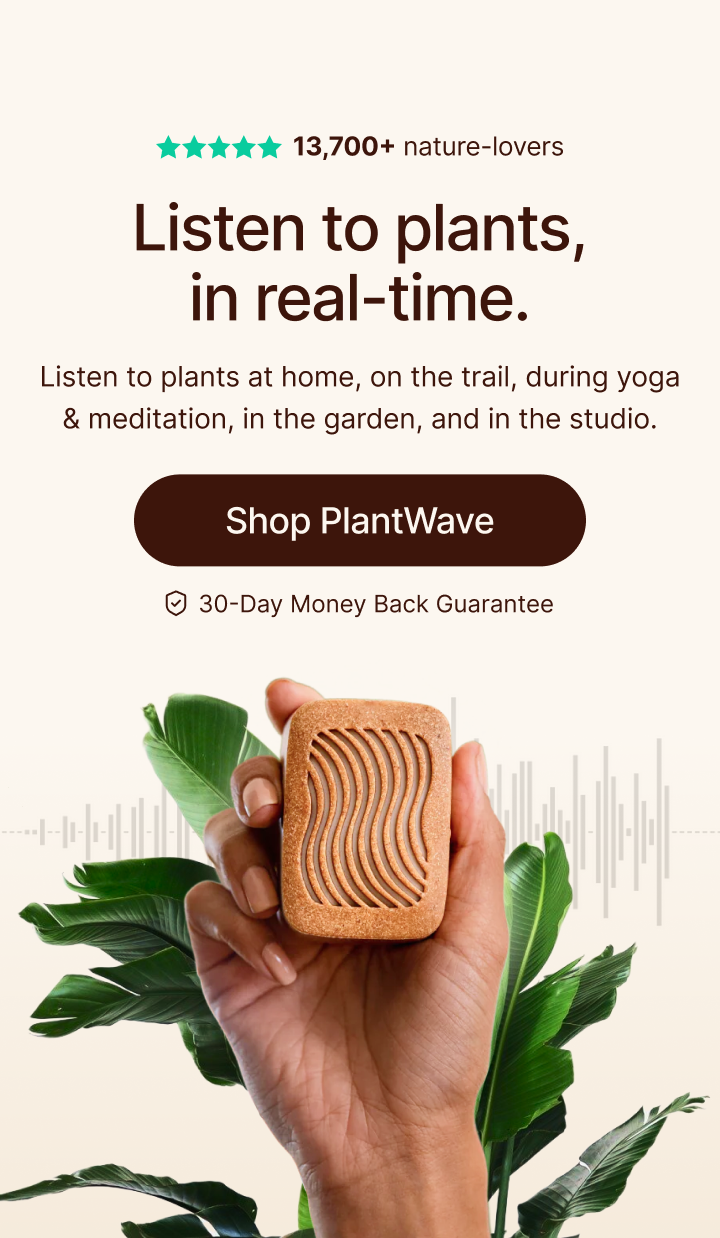 PlantWave