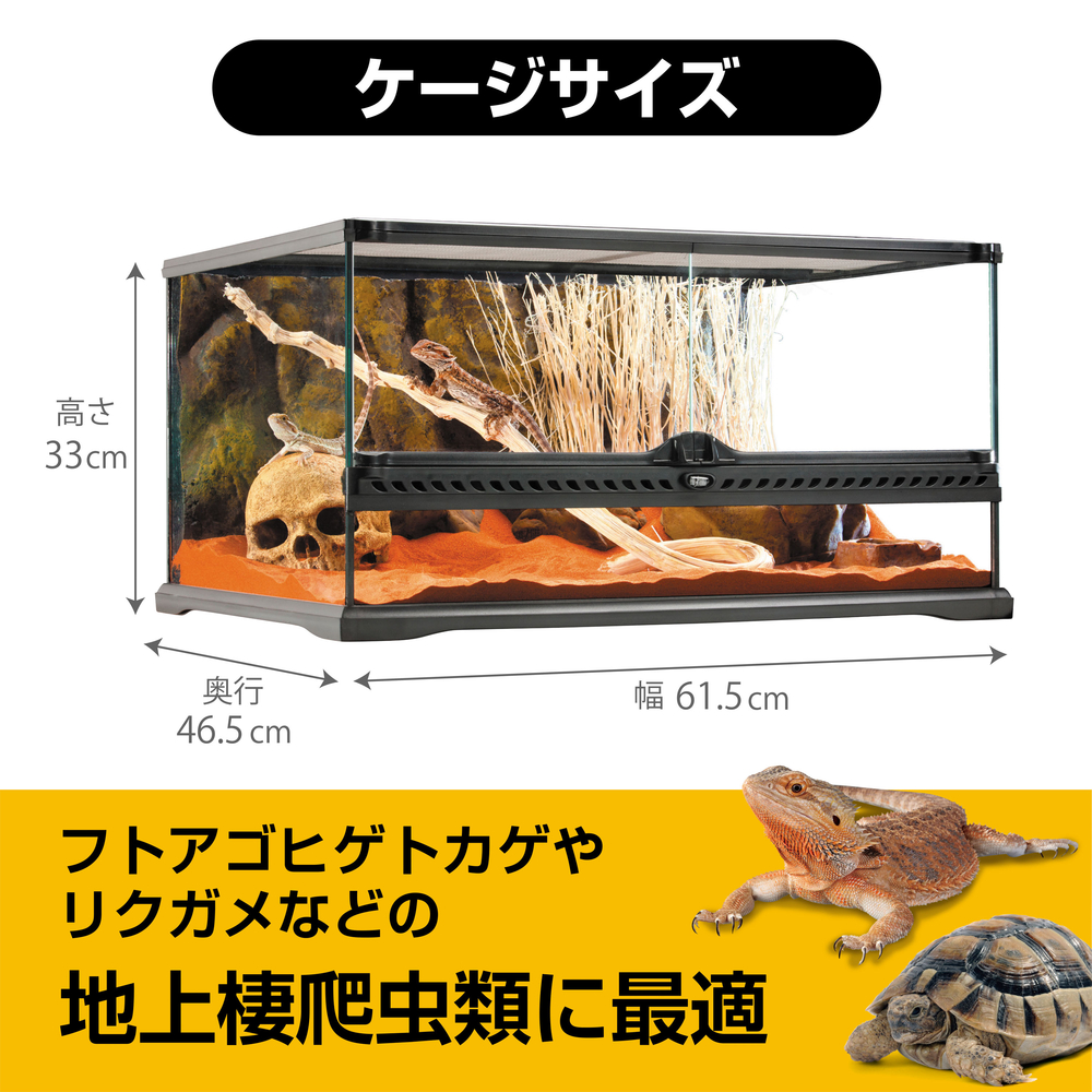 フトアゴヒゲトカゲ&リクガメ飼育キットBK | ジェックス株式会社