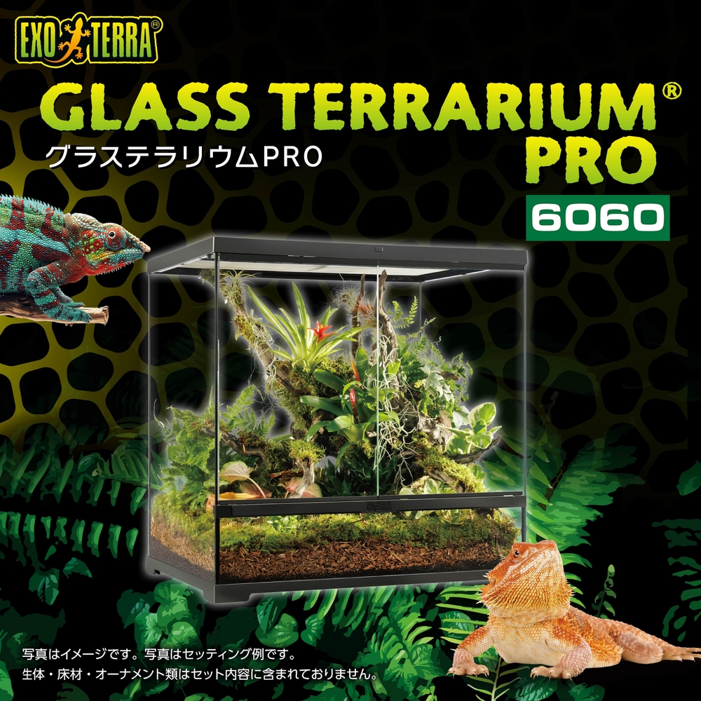 グラステラリウムPRO6060 PT4409 | ジェックス株式会社