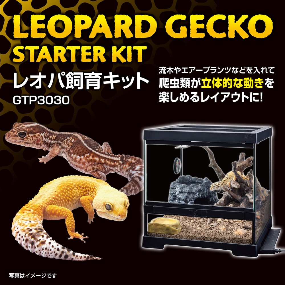 レオパ飼育キット GTP3030 | ジェックス株式会社