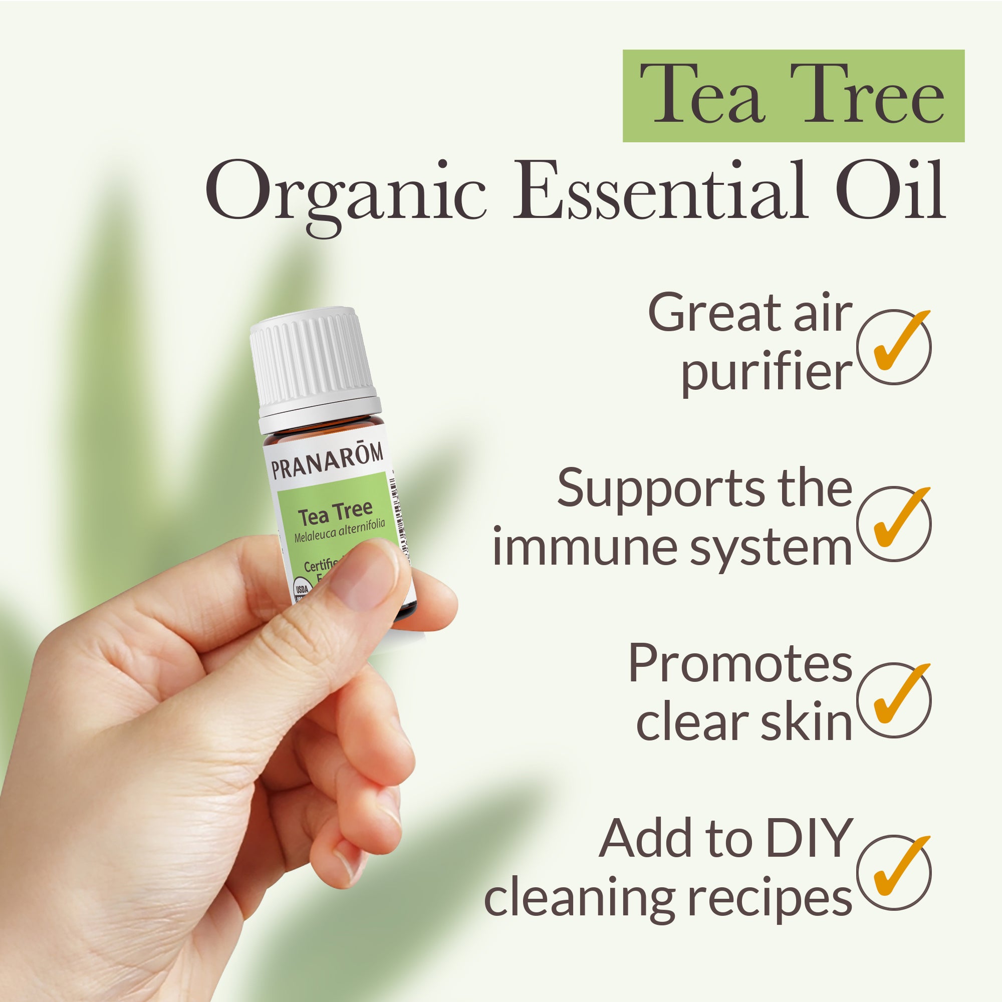 Tea Tree Essential Oil - Bio | Pranarôm