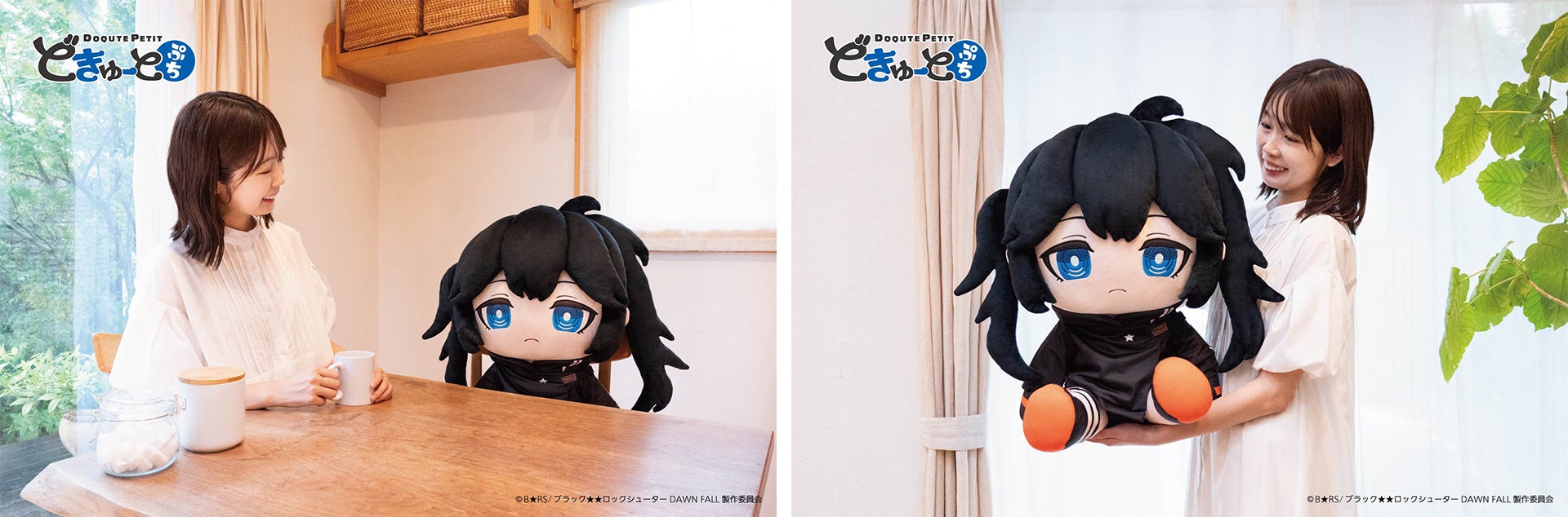 100体限定！特大ぬいぐるみブランド「どきゅーとぷち」7月24日（水
