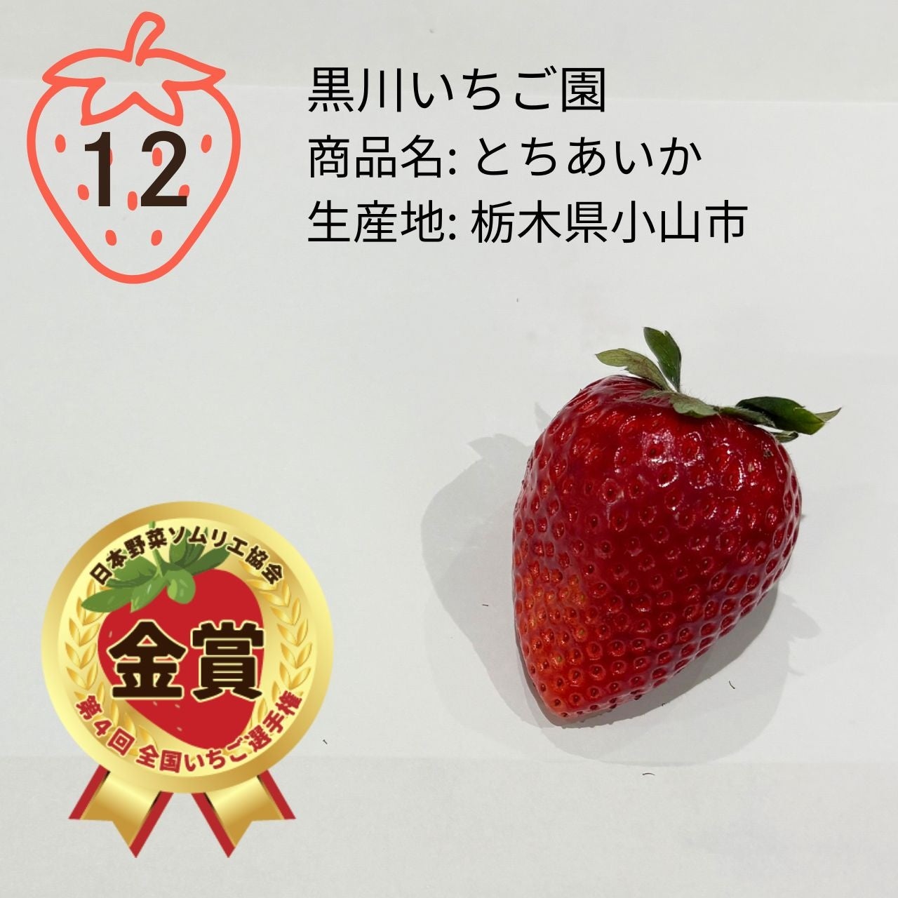 ≪第4回全国いちご選手権≫野菜ソムリエが選んだ、おいしい「いちご