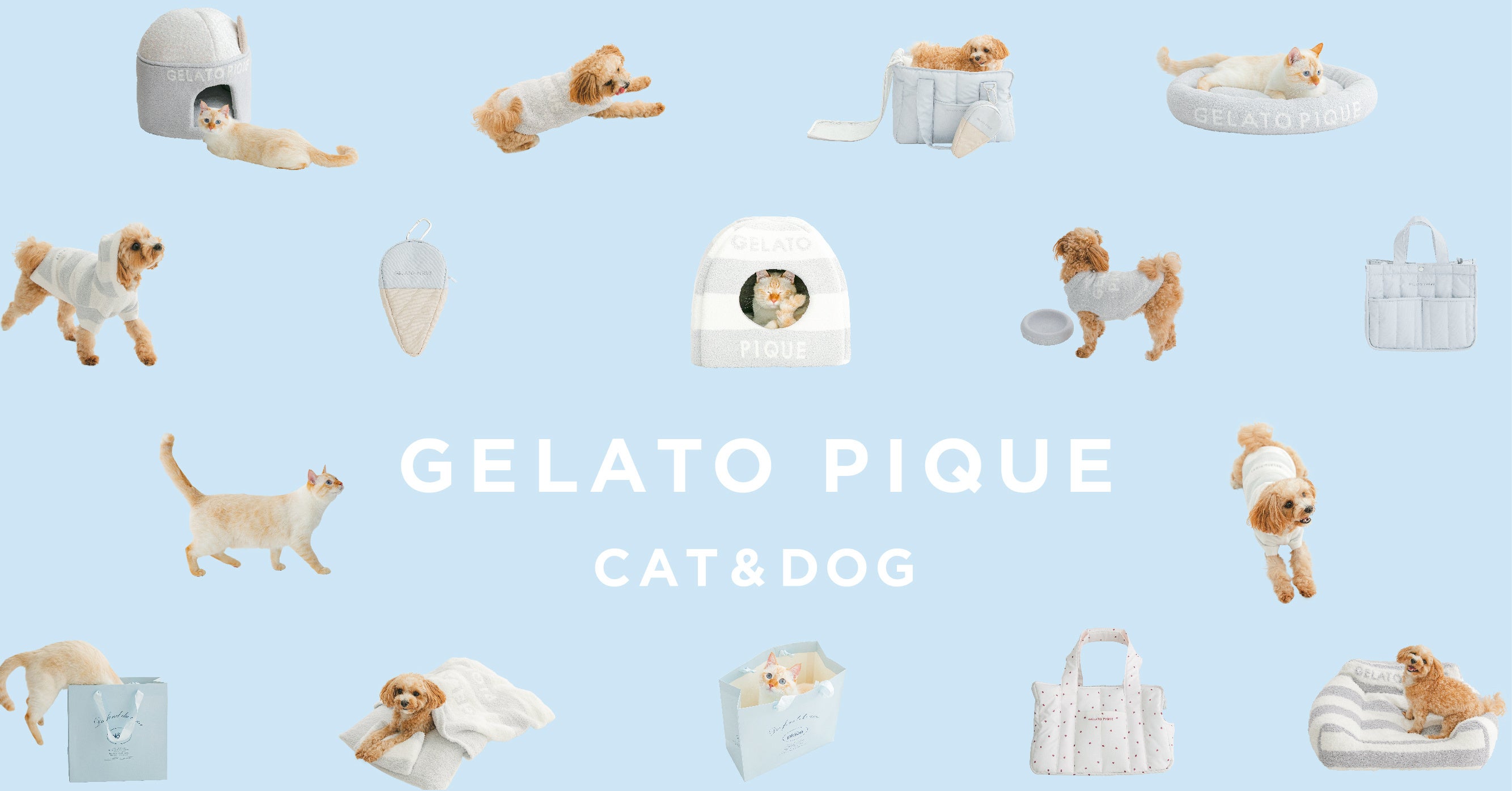 ジェラート ピケ」より初の犬猫用アイテムが登場！新ライン【GELATO