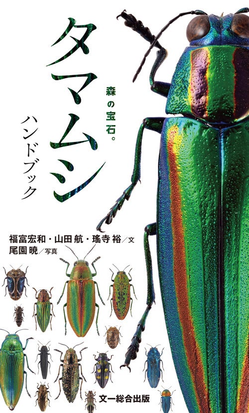 森の宝石と称される美しい昆虫「日本産タマムシ」の識別図鑑、本日発売