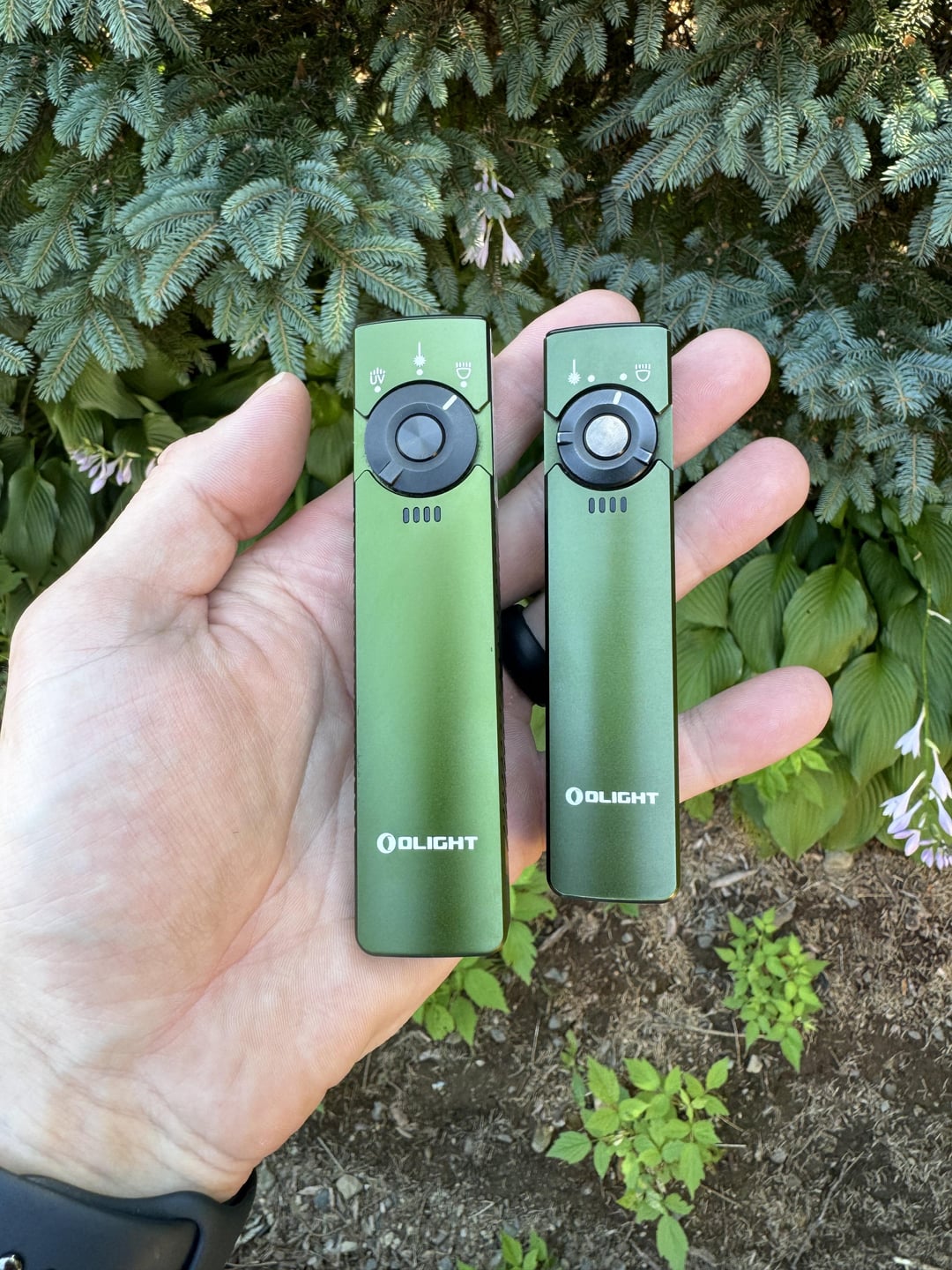 Olight Arkfeld vs. Arkfeld Pro : r/flashlight