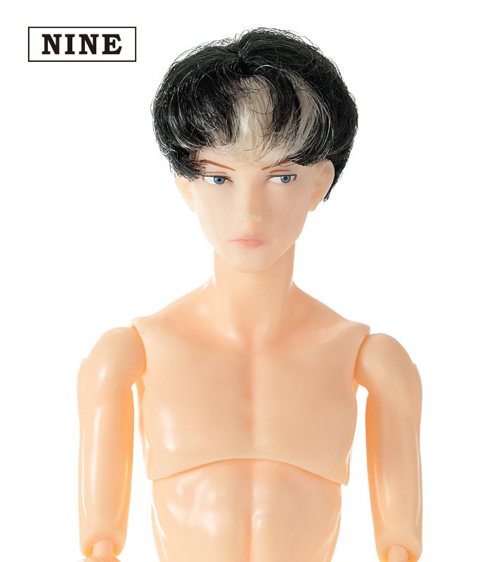 六分の一男子図鑑 B2403 ナイン - PetWORKs Store