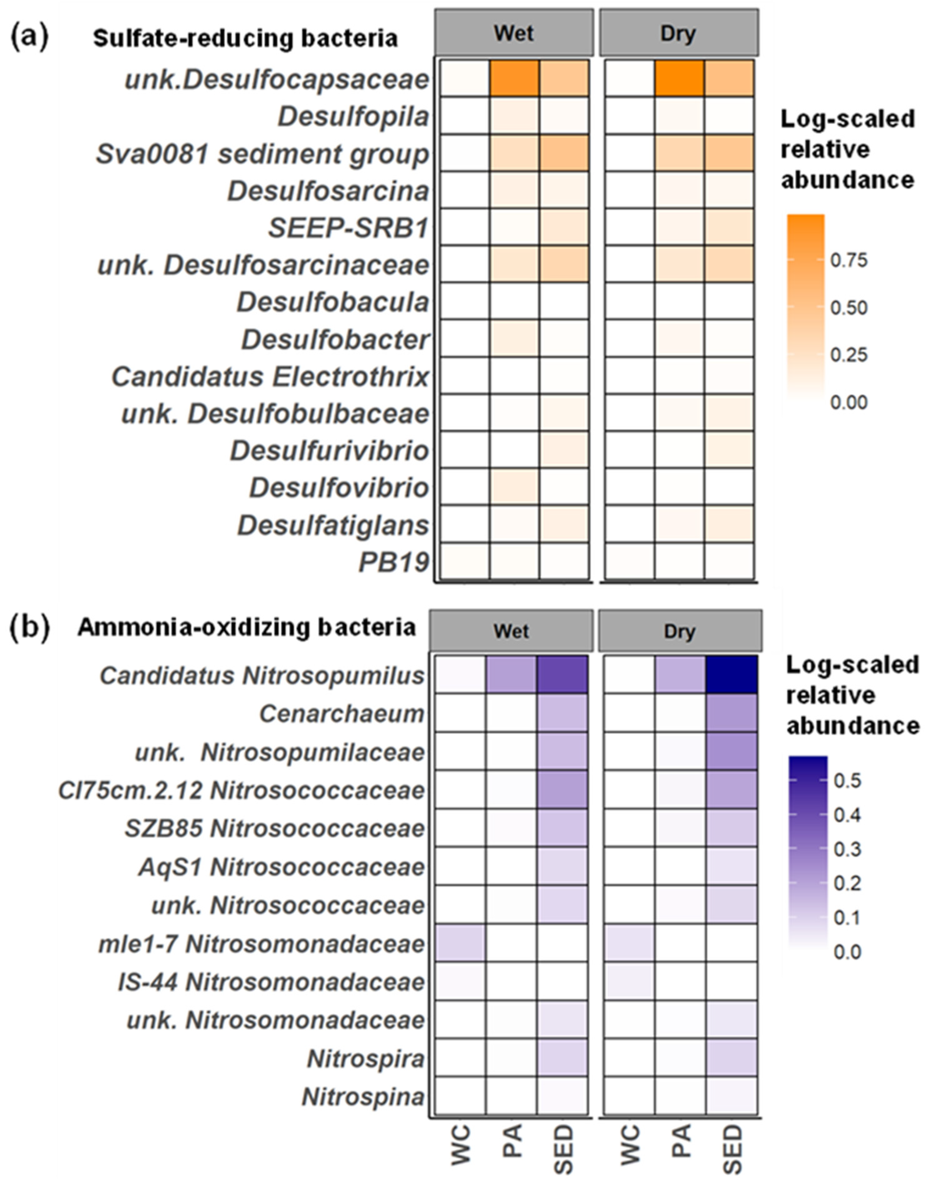 Seasonal and Spatial Microbial Community Dynamics Along the