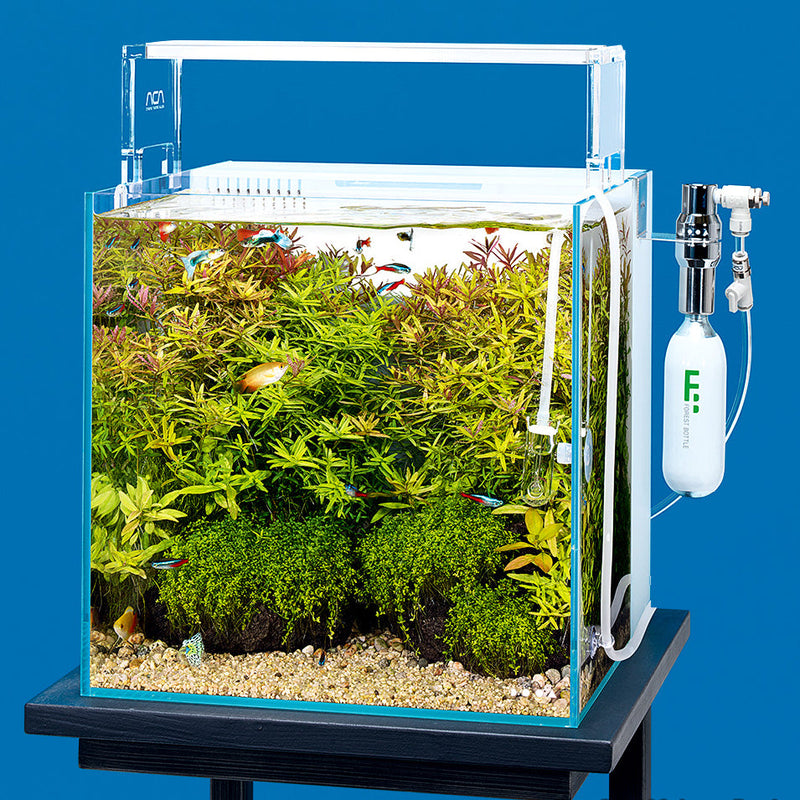 DOOA System Aqua 30