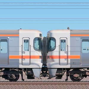 JR東海大垣車両区313系5300番台Z3編成＋5000番台Y115編成（海側