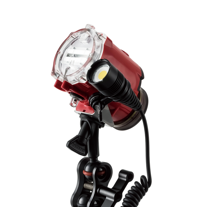 Twin Light Mount S｜ダイビング用水中ライトの通販ならRGBlue