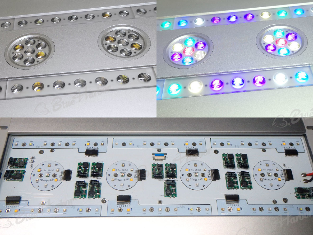 New Research Grade Spectra SP200 has Obsessive Spectrum Control