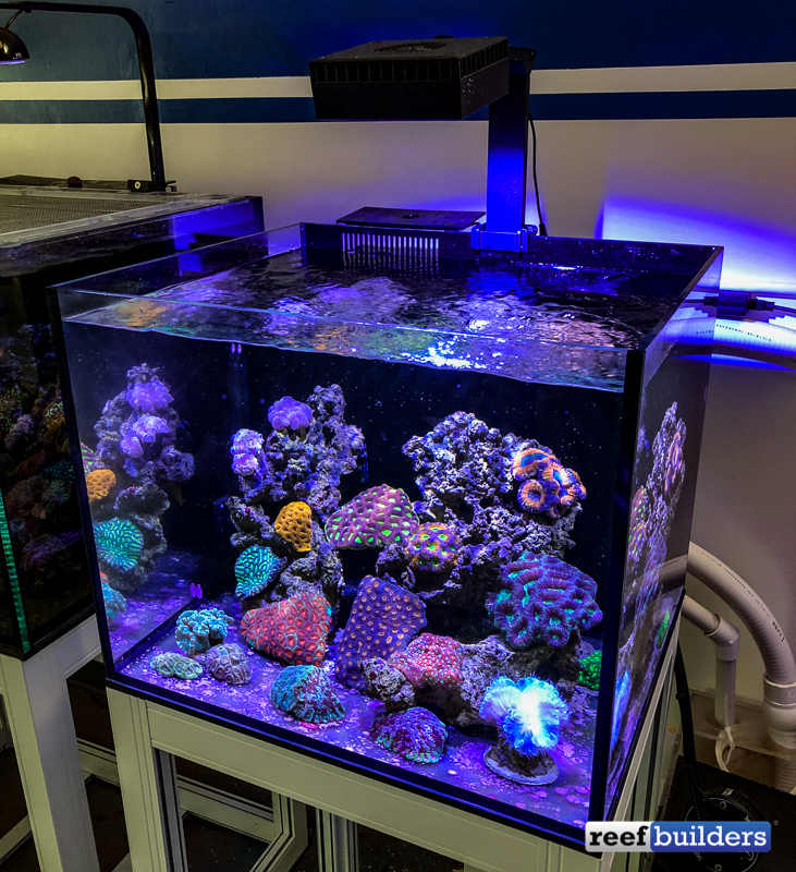 Red Sea ReefLED Review; the Best First-Generation LED Light to