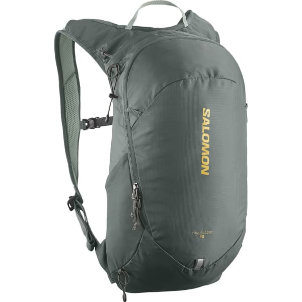 SALOMON TRAILBLAZER 10 URBAN URBAN CHIC/GREEN MILIEU - Trail
