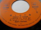 愛するために/哀しみの森 ビョルン・アンドレセン