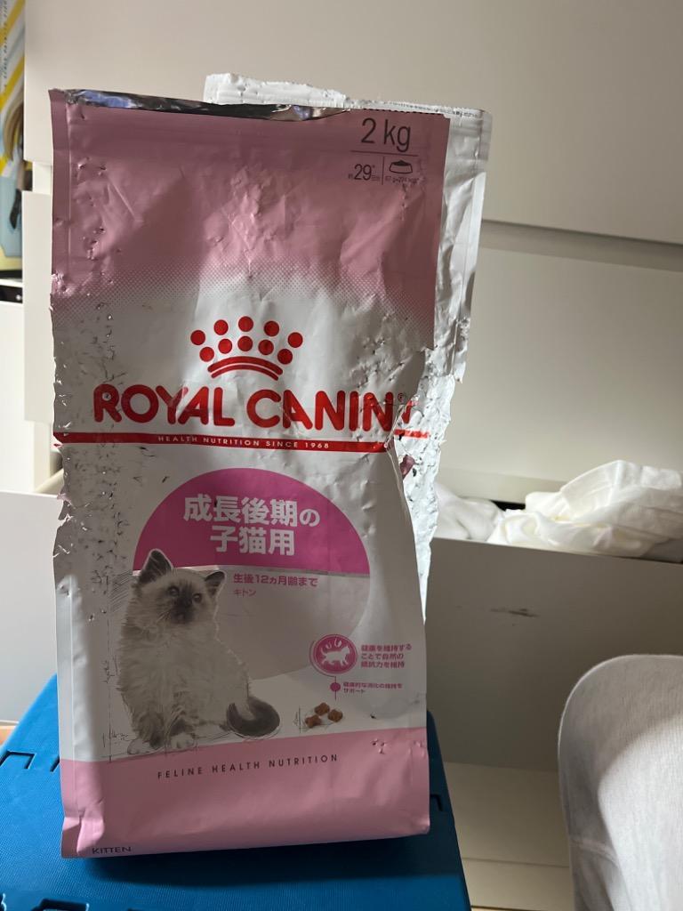 ロイヤルカナン（ROYAL CANIN） 子猫 キトン 成長後期の子猫用 生後