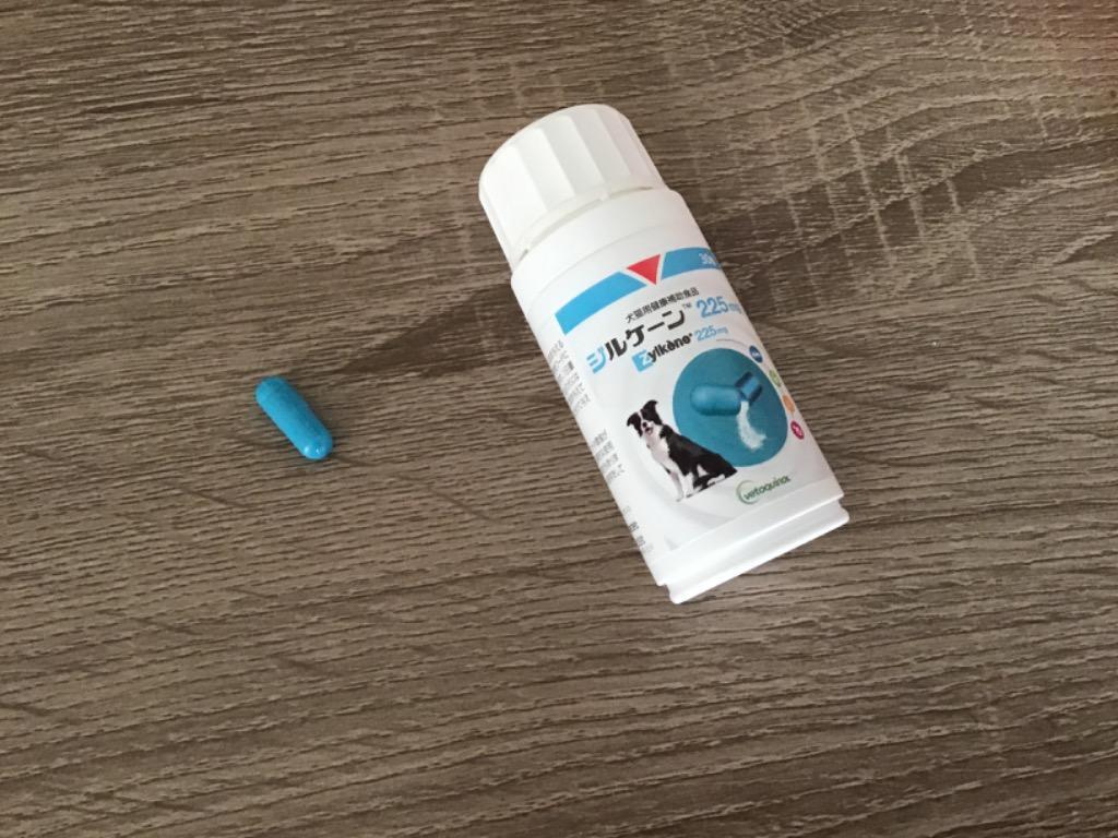 日本全薬 【あすつく】『ジルケーン 225mg (30粒)×1個』【賞味期限