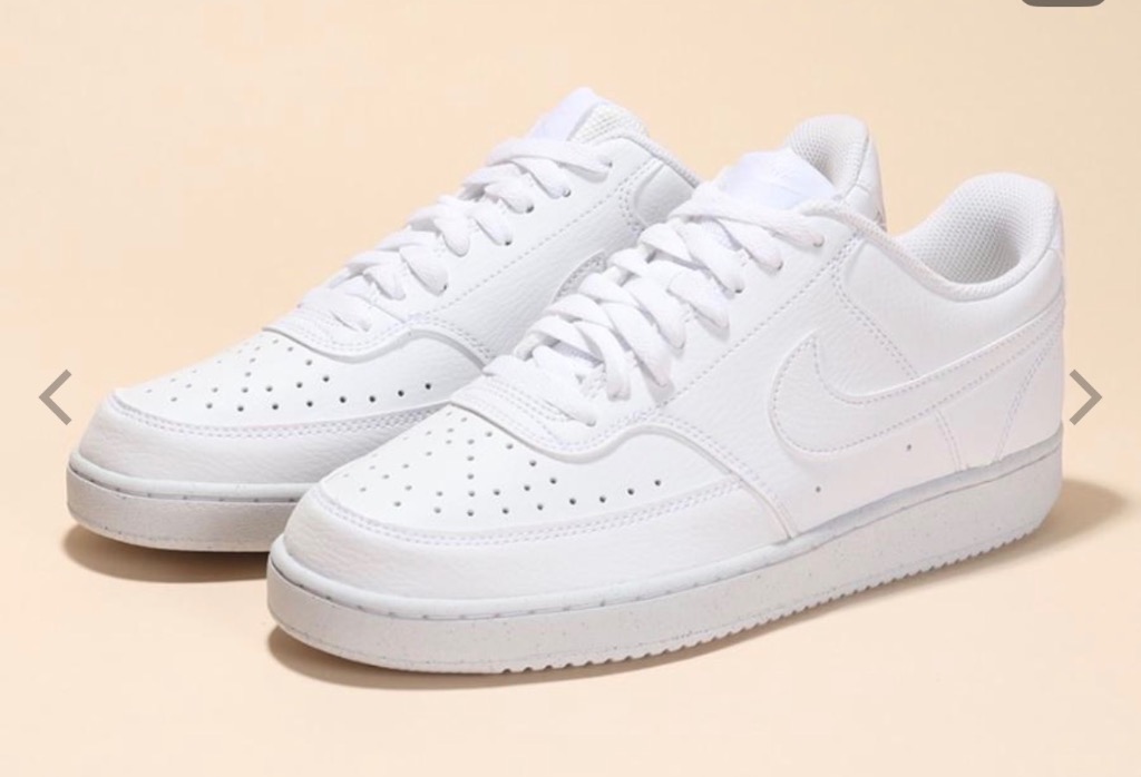 NIKE（ナイキ） （メンズ）スニーカー スポーツシューズ コート