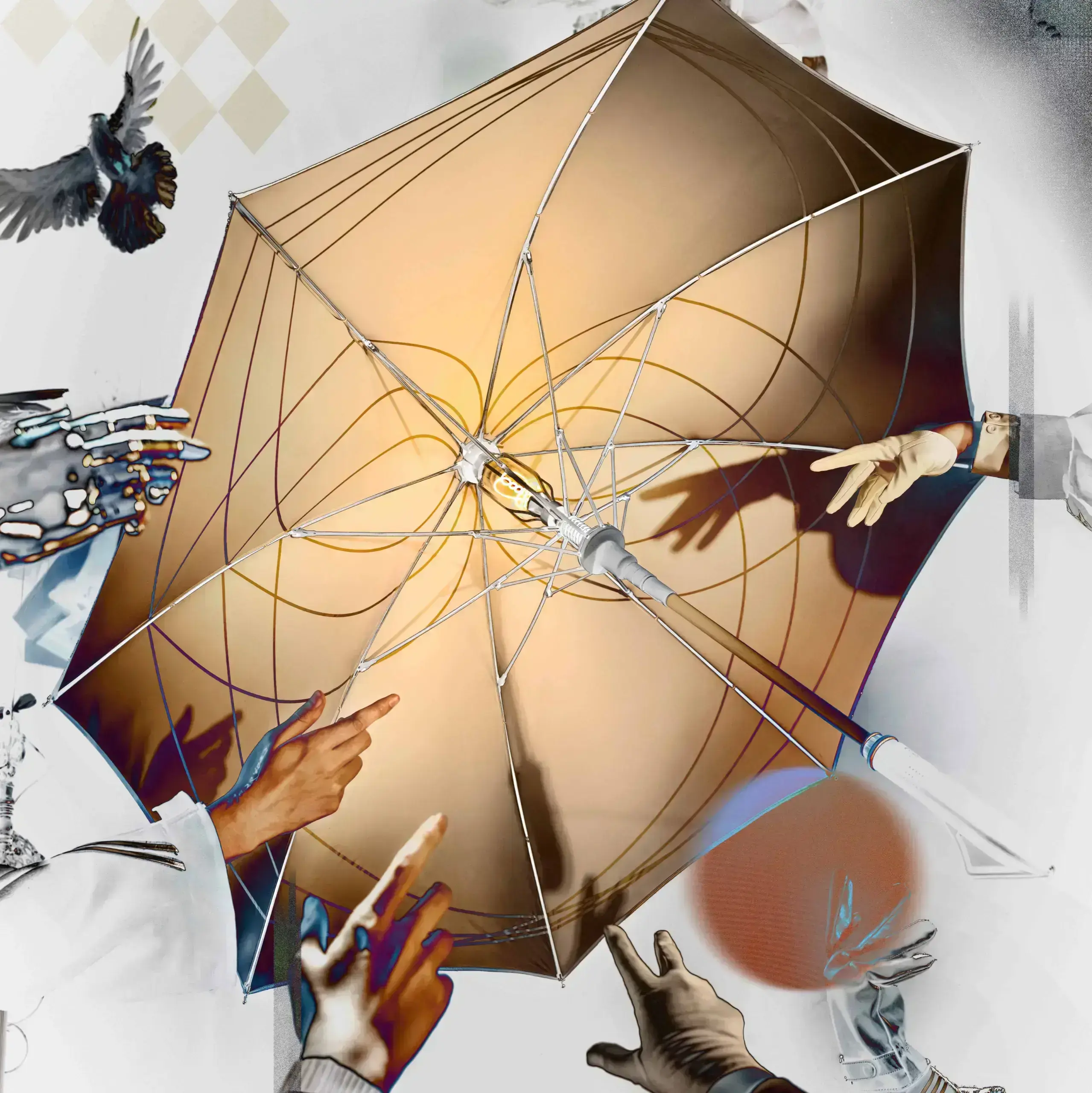 Equilibrium Umbrella