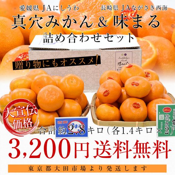 高級みかんギフト 愛媛県 JAにしうわ 真穴みかん＆長崎県 JAながさき