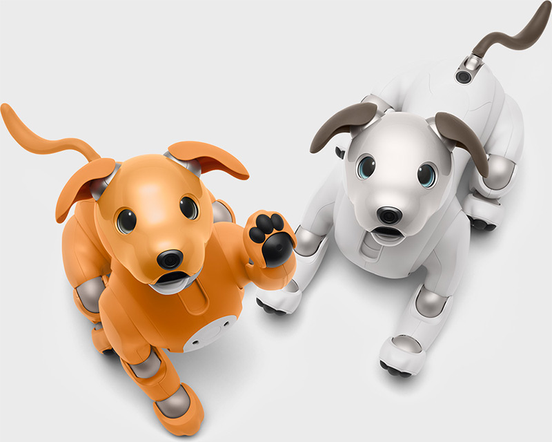 おすすめの人気ロボット犬6選！選び方、注意点もご解説 | ロボット