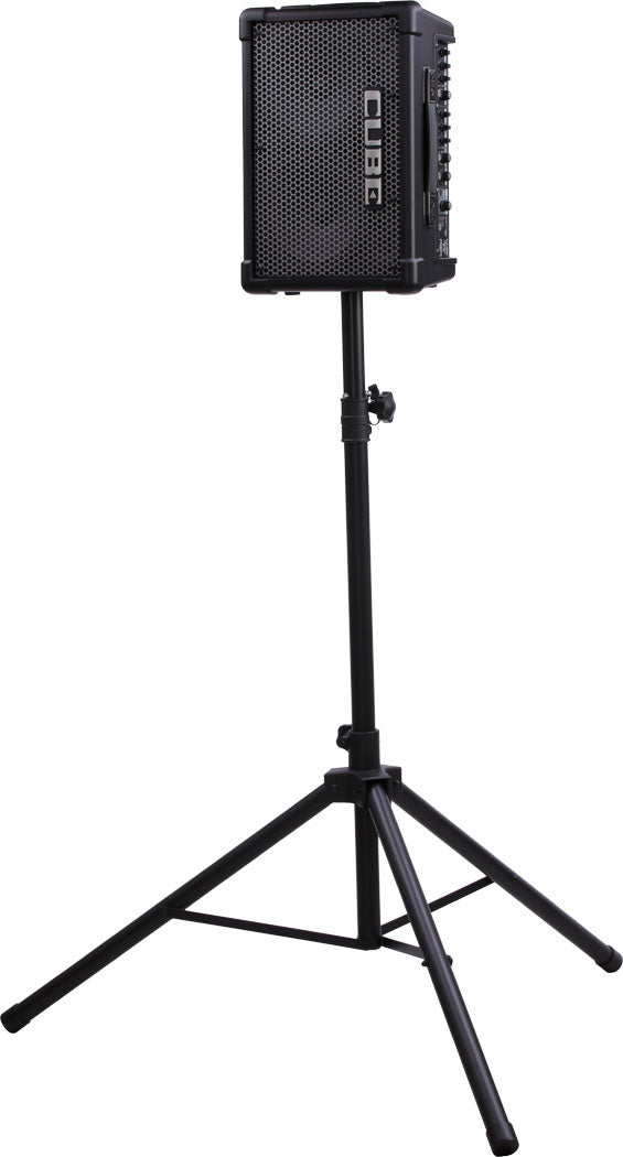 Roland CUBE-STEX 25W + 25W Stereo Battery Powered PA with COSM