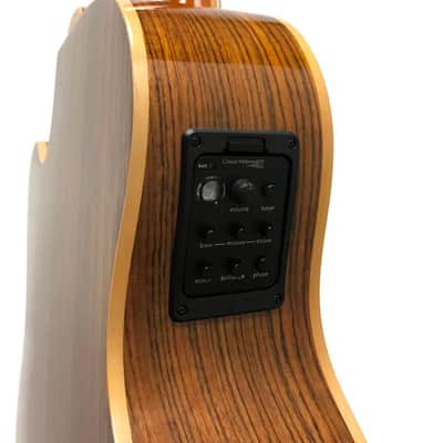 Samick Greg Bennett OM-15CE ハードケース付き Greg Bennett by