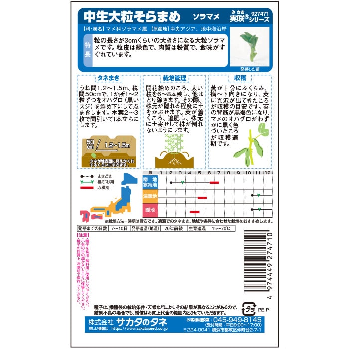 ソラマメ 中生そらまめ｜種（タネ）,球根,苗,資材,ガーデニンググッズ