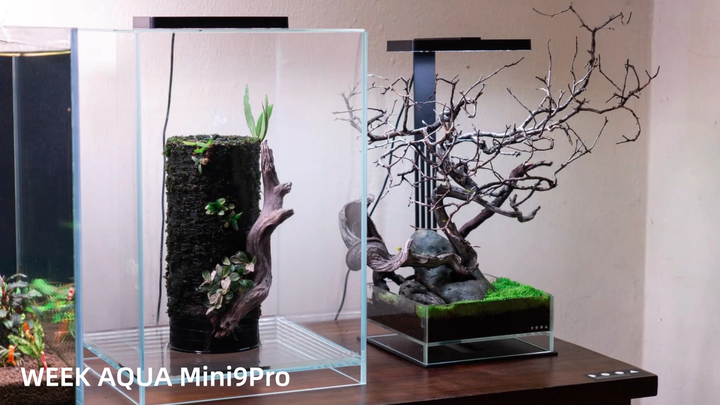 WEEK AQUA Mini 9 Pro Clip-On LED Light for Aquariums - RGB+UV Full