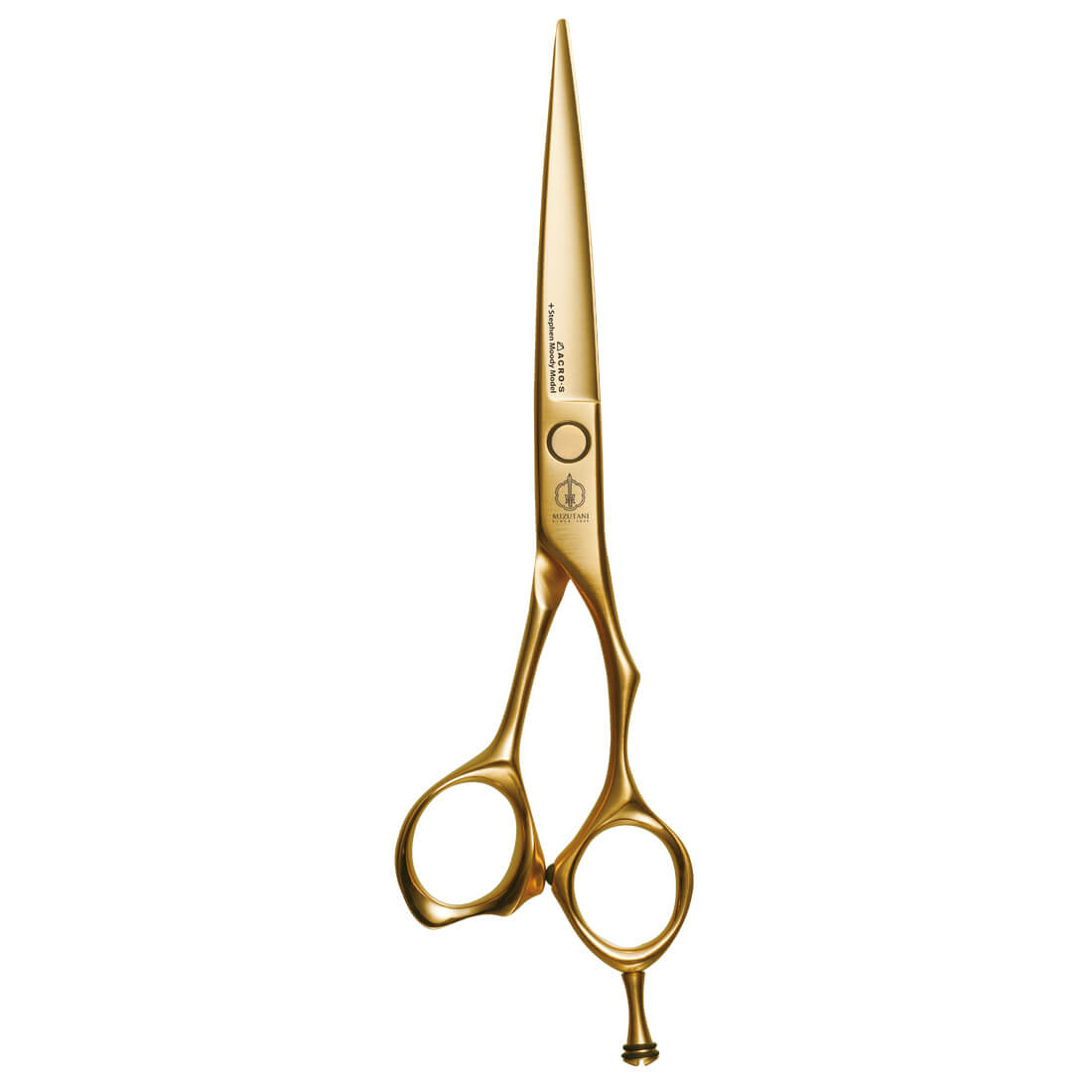 ACRO-S +Stephen Moody Model Satin Gold | ミズタニシザーズ