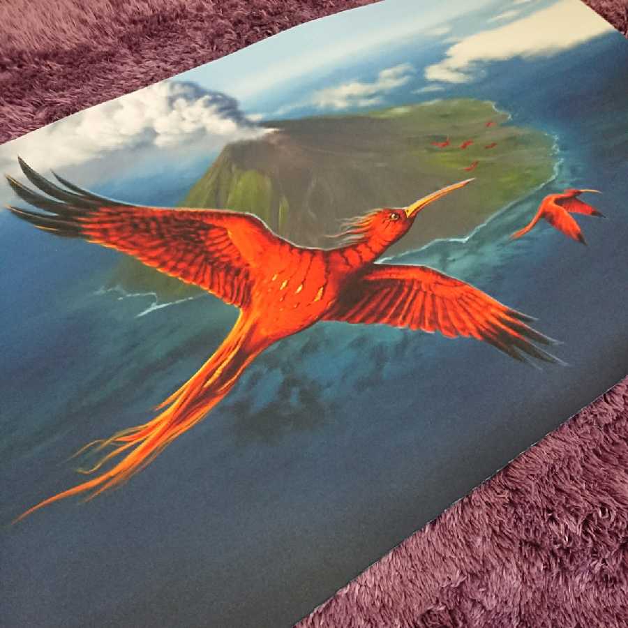 mtg 極楽鳥プレイマット新品 Amazon.co.jp: 極楽鳥 プレイマット Birds