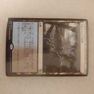 汚染された三角州」の激安通販 | magi