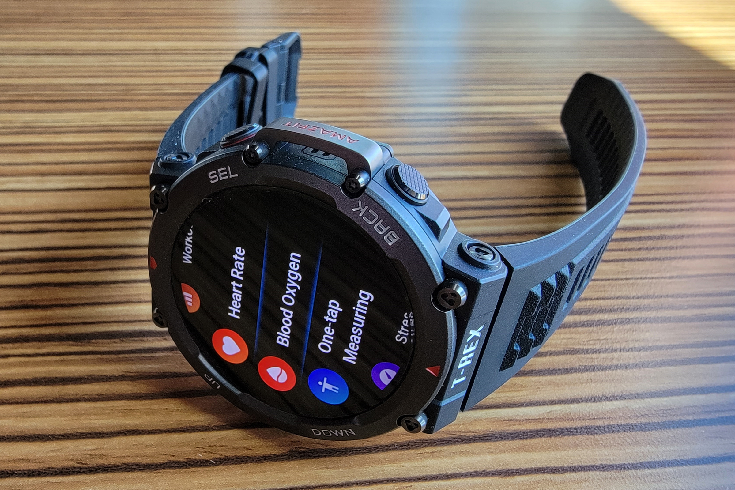 Goodness Cretaceous: A Smartwatch Skeptic's Take on the Amazfit T