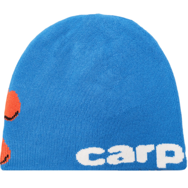 Carpet Company Bacteria Beanie — Skatepark of Tampa